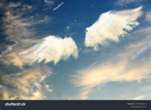 stock-photo-angel-wings-formed-with-fluffy-clouds-in-sky-2737830173